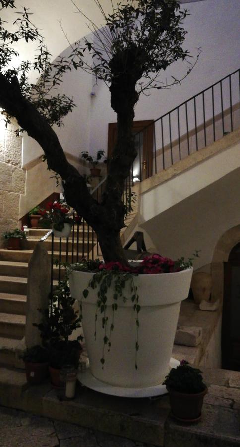 Il Nido Dei Falchi B&B Альтамура Екстер'єр фото